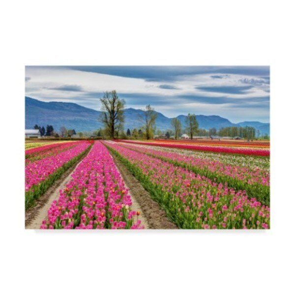 Pierre Leclerc 'Tulips of the Valley' Canvas Art, 12x19, Trademark Fine Art, Mfr#: PL00424-C1219GG
